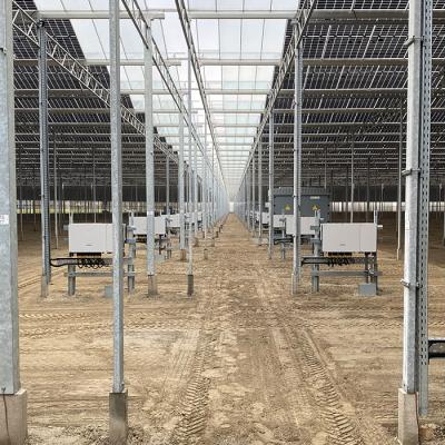 Zonnepark Royalpride 006