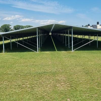 Zonneparksomeren 001